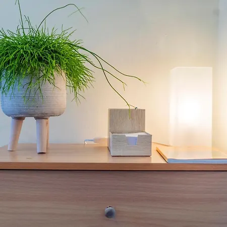 Tarik Live Traditional אנו סירוס