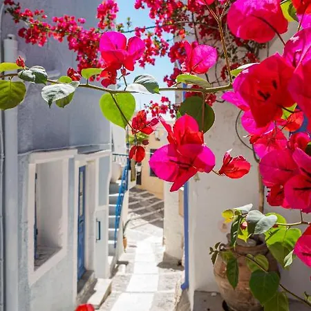 Tarik Live Traditional * Ano Syros