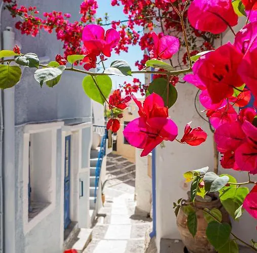 Tarik Live Traditional * Ano Syros