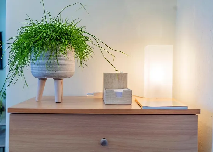 Tarik Live Traditional Άνω Σύρος